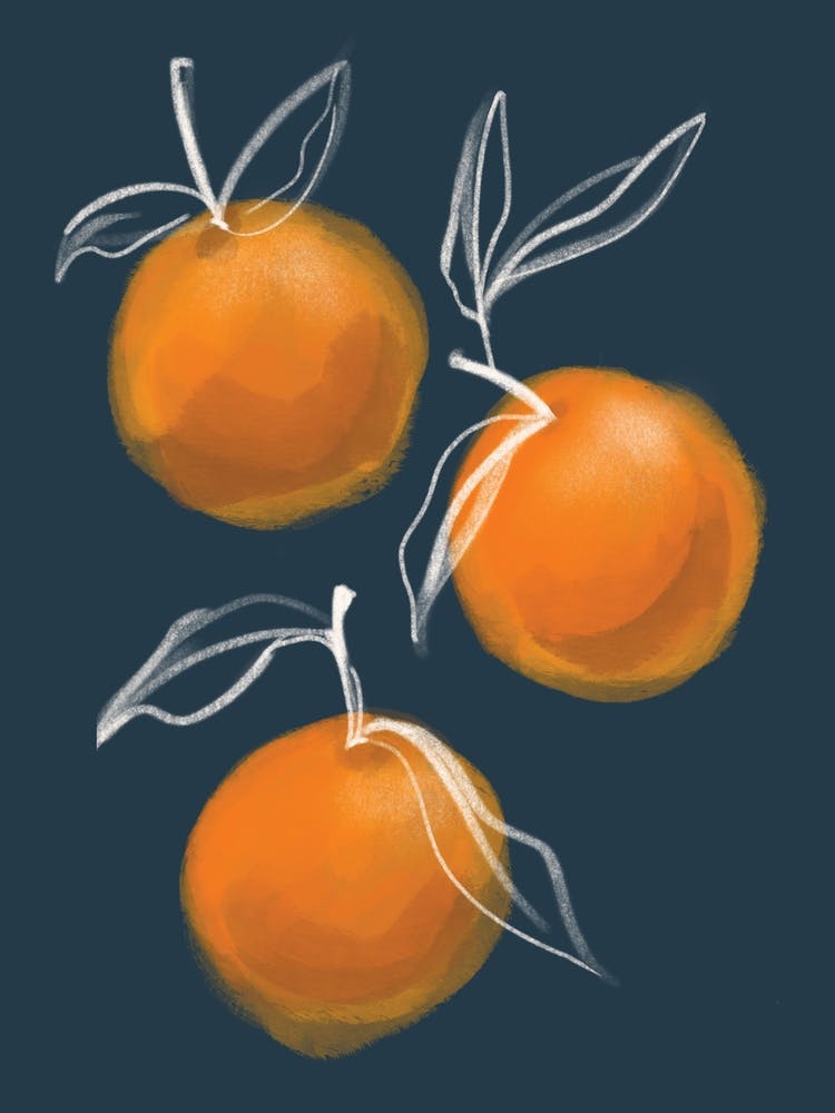 Oranges Kitchen Set Navy And Orange