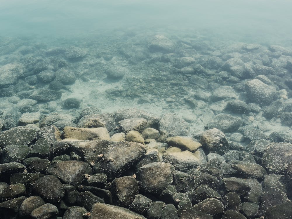 Rocky Shore In The Sea