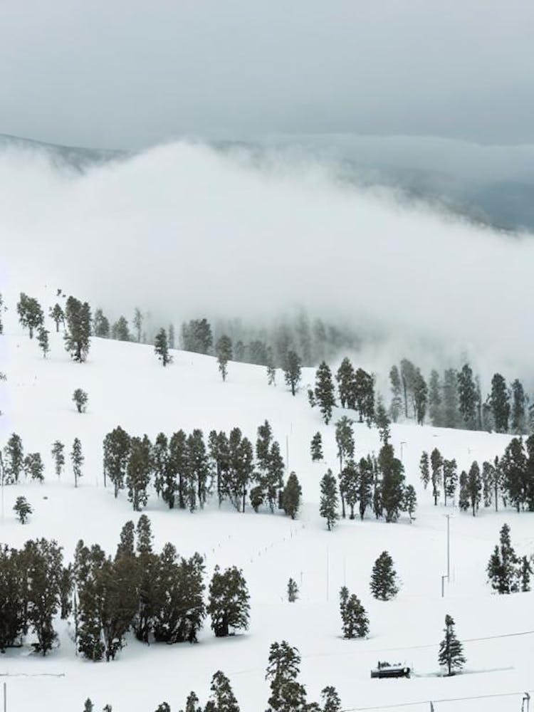 Falls Creek, Australia Black And White Skiing Poster