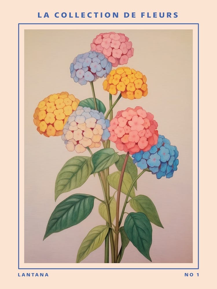 Lantana French Flower Botanical Poster