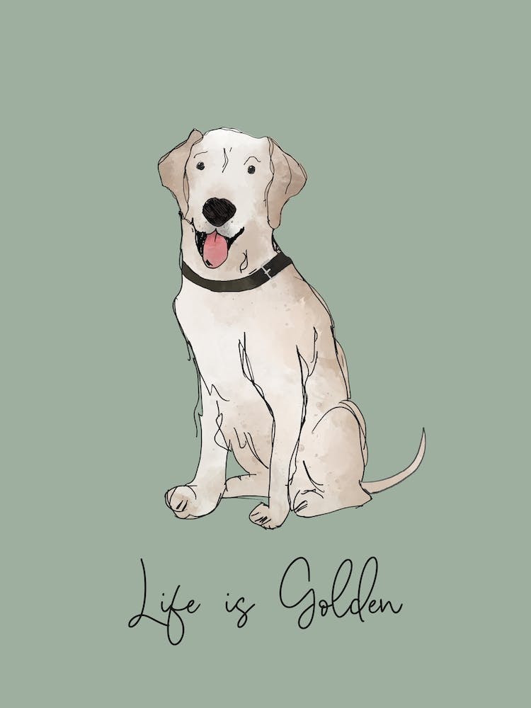 Golden Labrador Retriever Life Is Golden