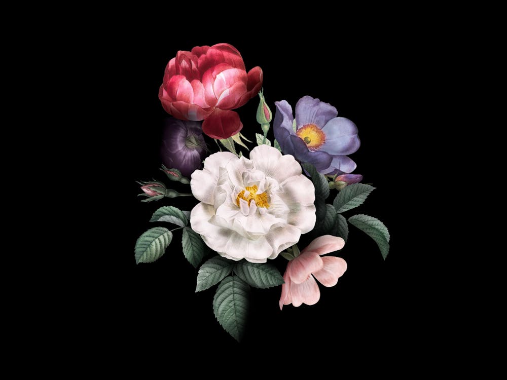 Flowers In A Vase 55