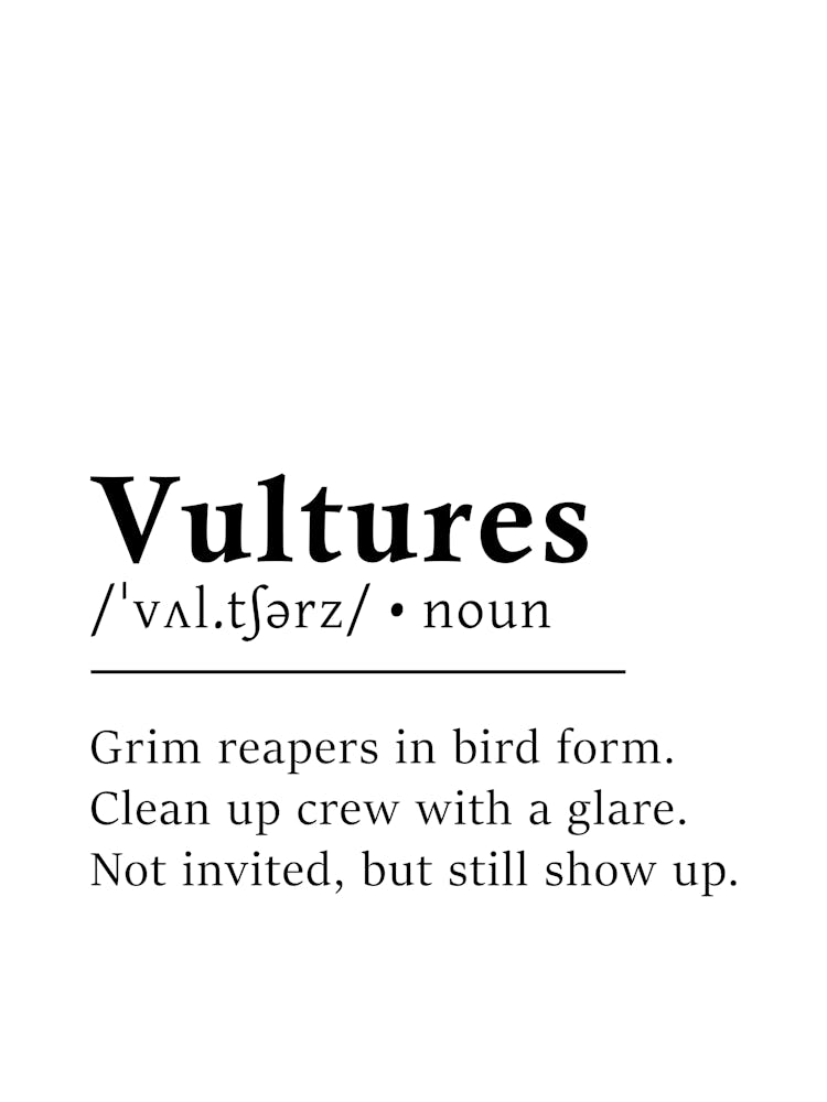 Vultures Definition Poster - Dictionary