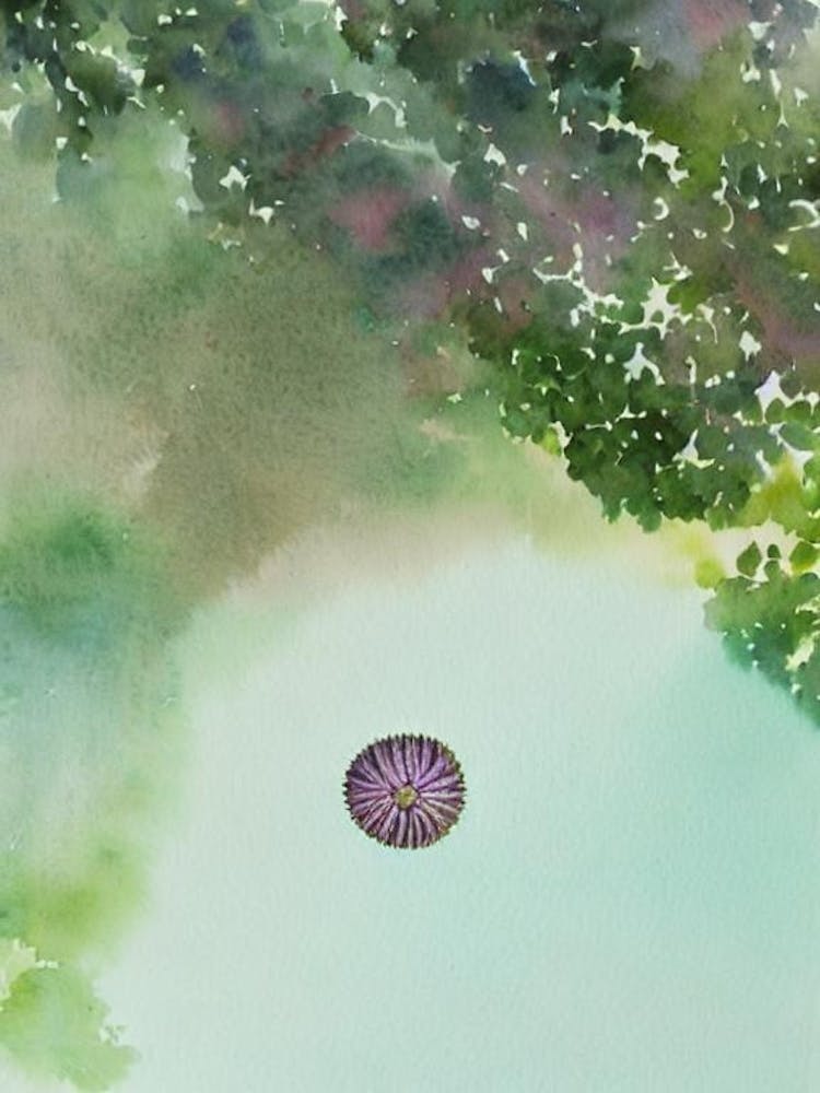 Trilobite Storybook Watercolour