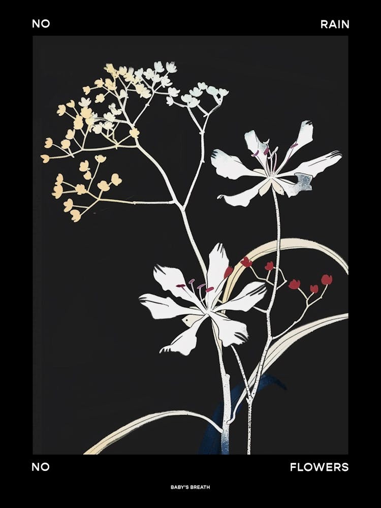 No Rain No Flowers Poster Babys Breath 7
