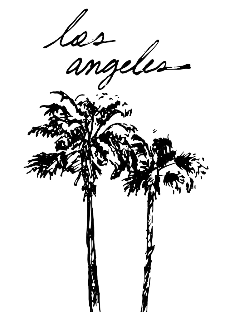 Palm Trees In Los Angeles