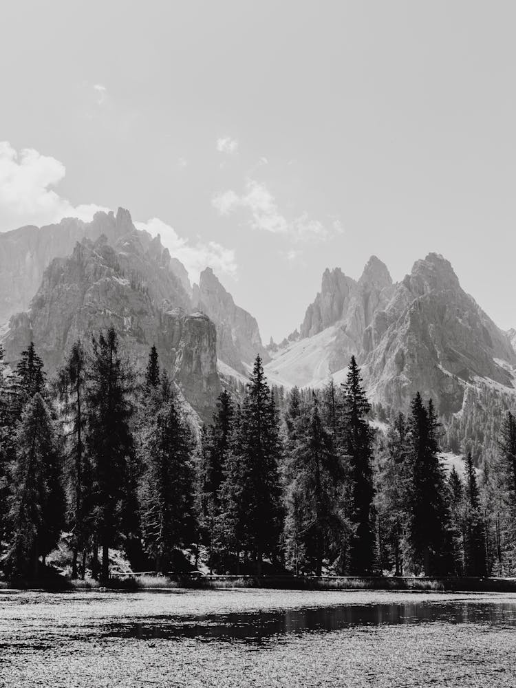 Paysage de Montagne Noir et Blanc