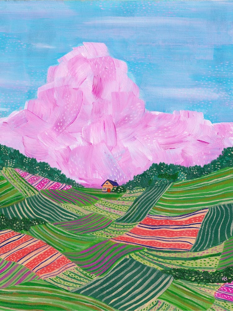 Flower Fields