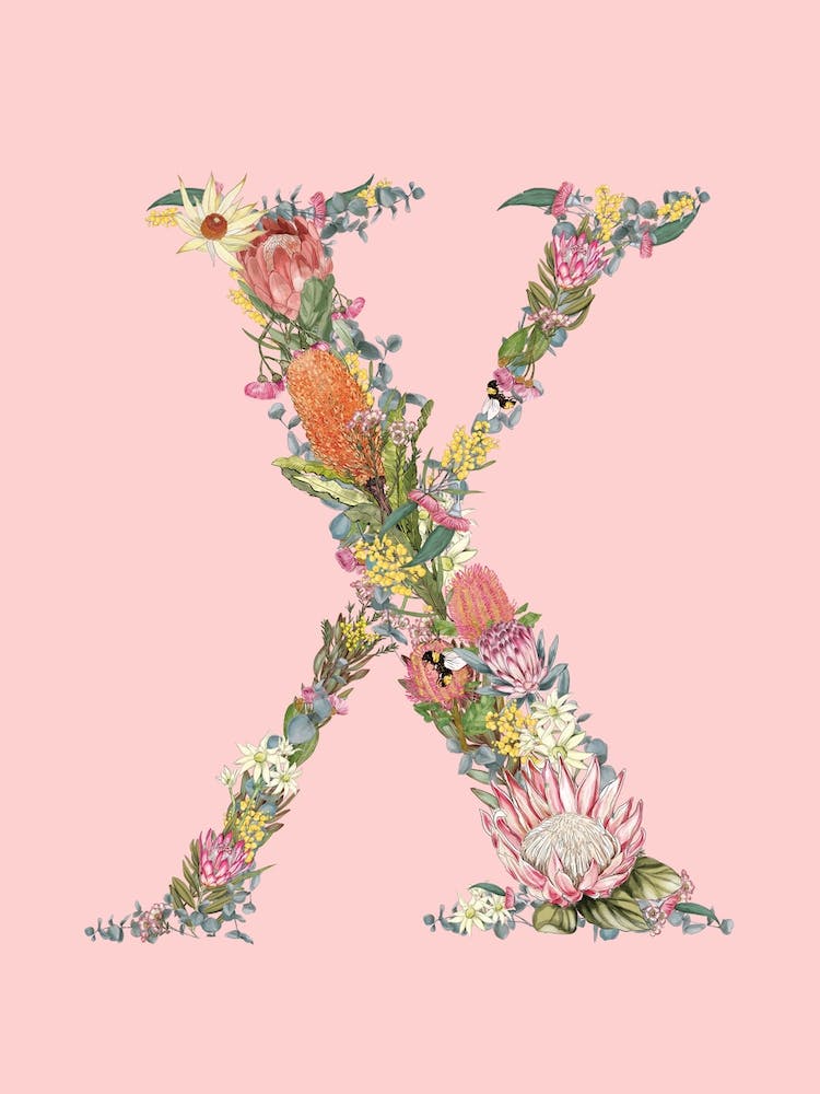X Pink Alphabet Letter