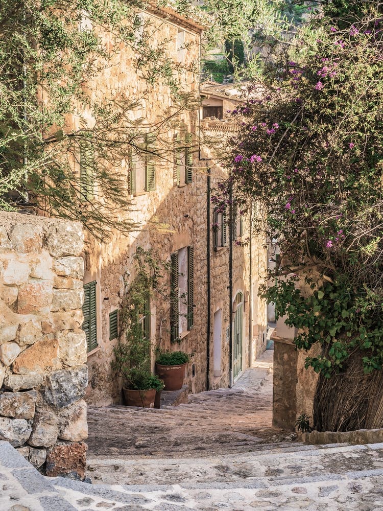 Village In France