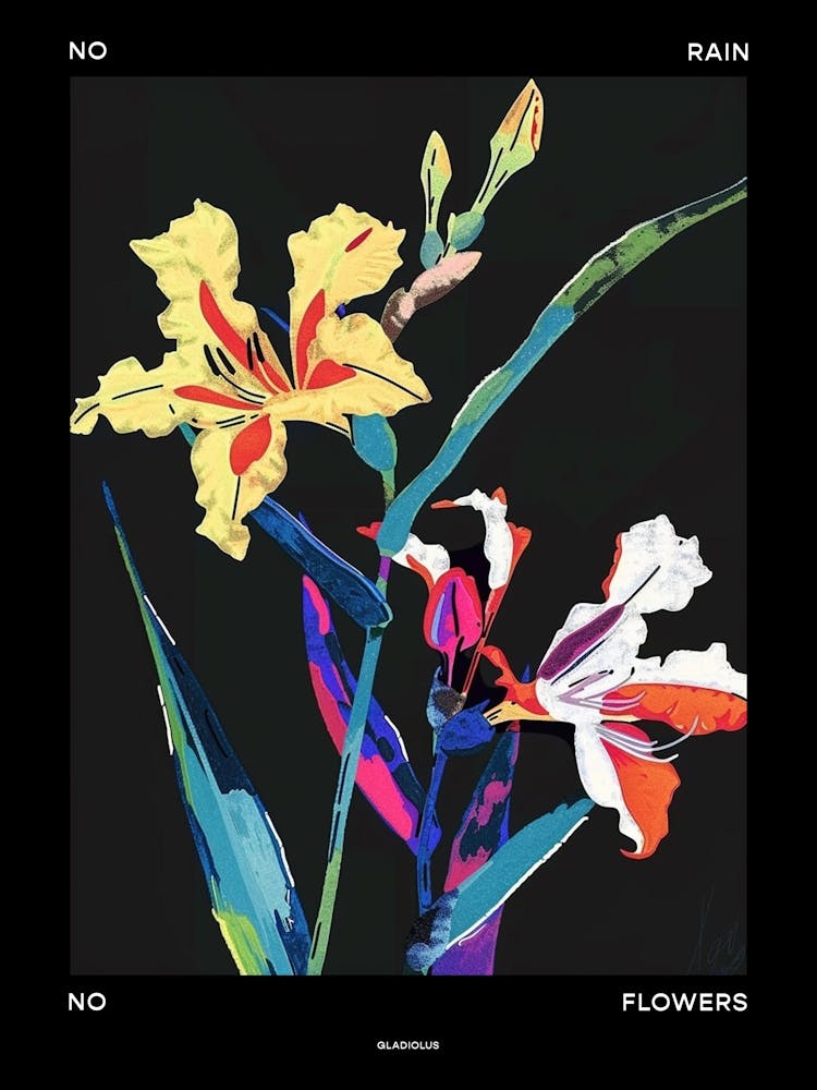 No Rain No Flowers Poster Gladiolus 2
