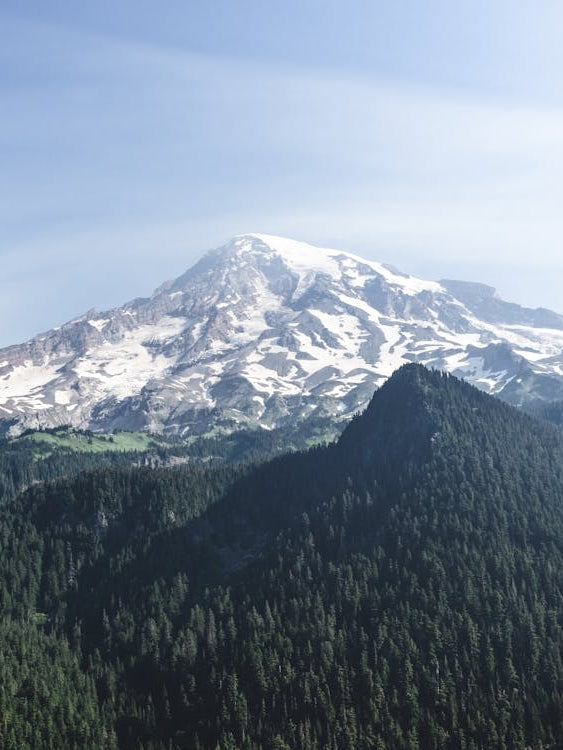 Mount Rainier National Park - Dreamy Nature Landscape II