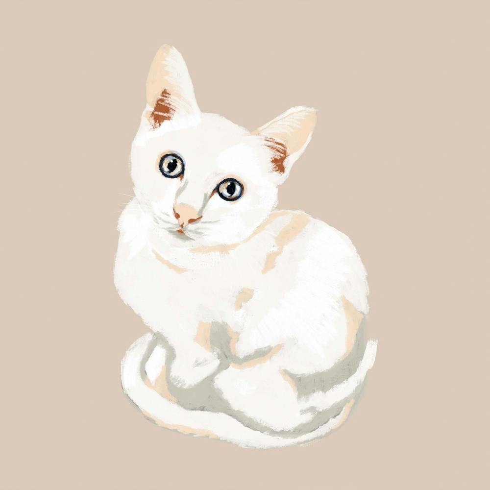 White Cat Square