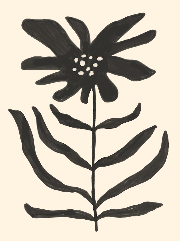 Black Flower