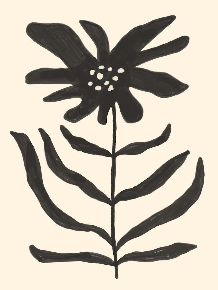 Black Flower