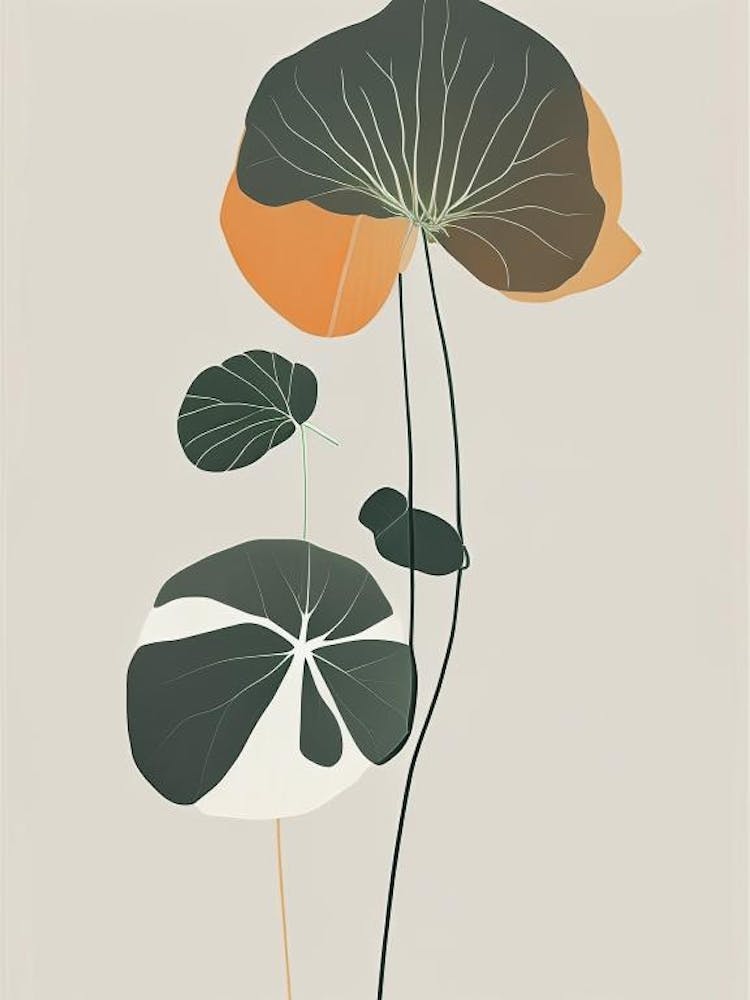 Nasturtium Herb Simplicity