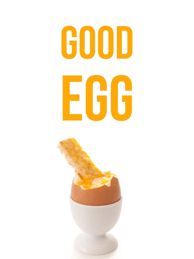 Good Egg
