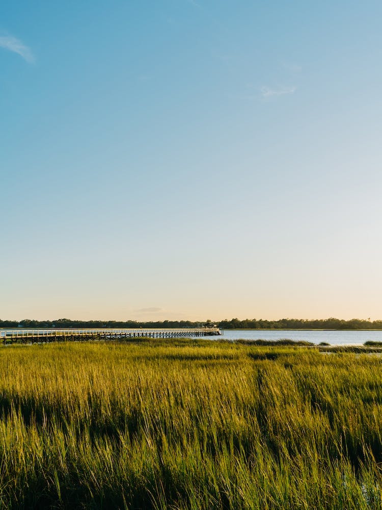 Charleston Sunset VI
