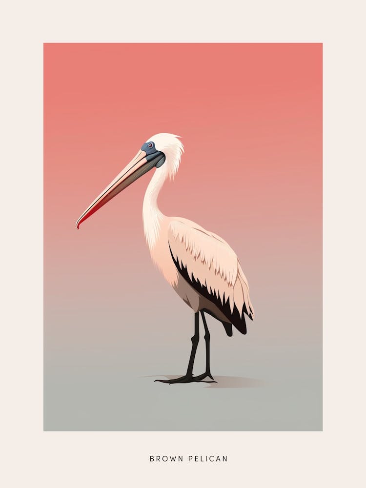 Minimalist Brown Pelican 1 Bird Poster