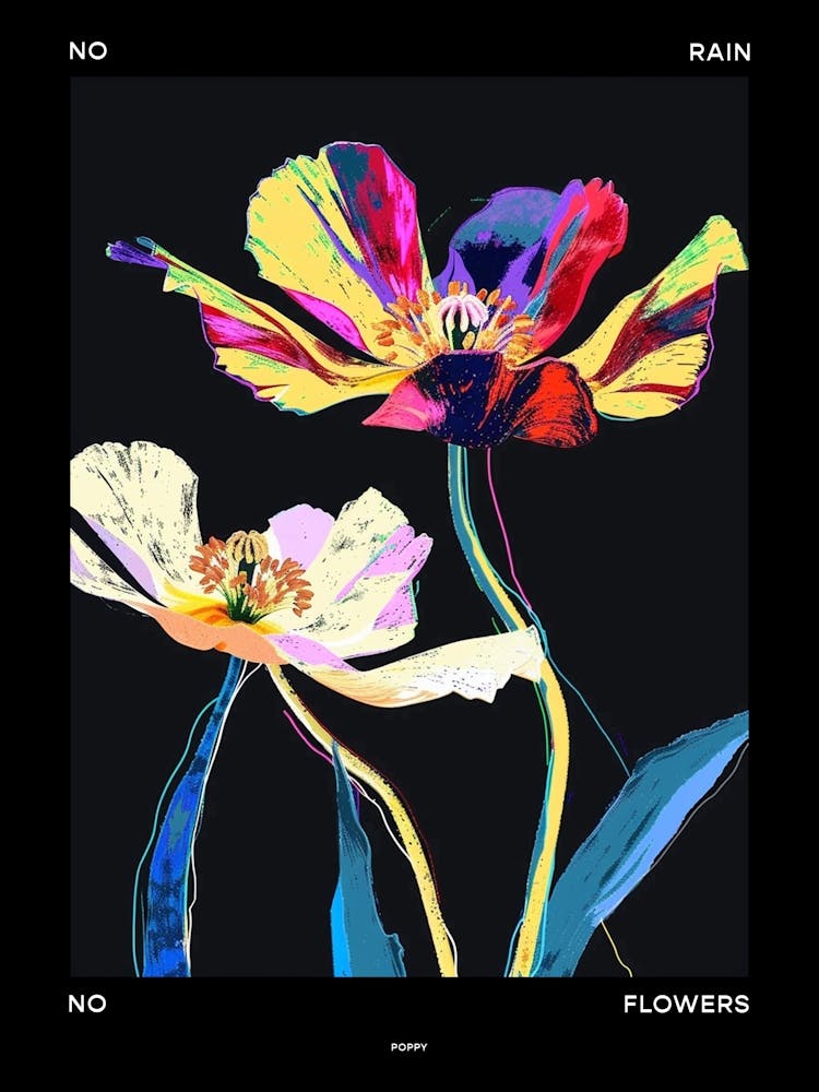No Rain No Flowers Poster Poppy 4