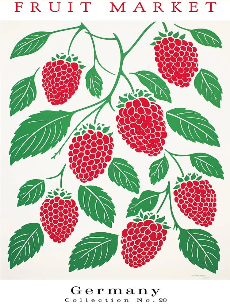 Raspberry Fruit Poster Gift Germany Market