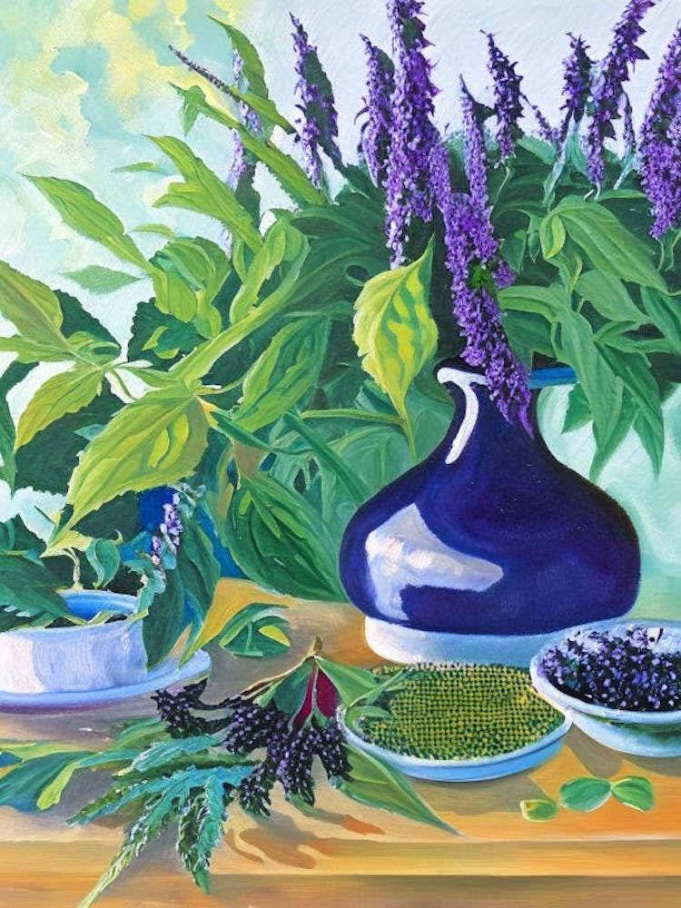 Anise Hyssop Spices And Herbs Oil Painting 2