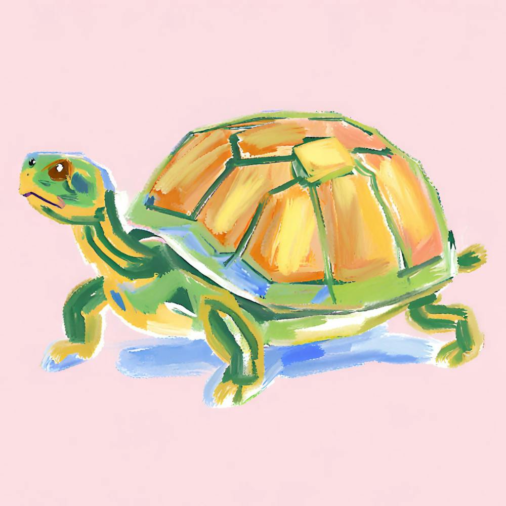 Box Turtle 01