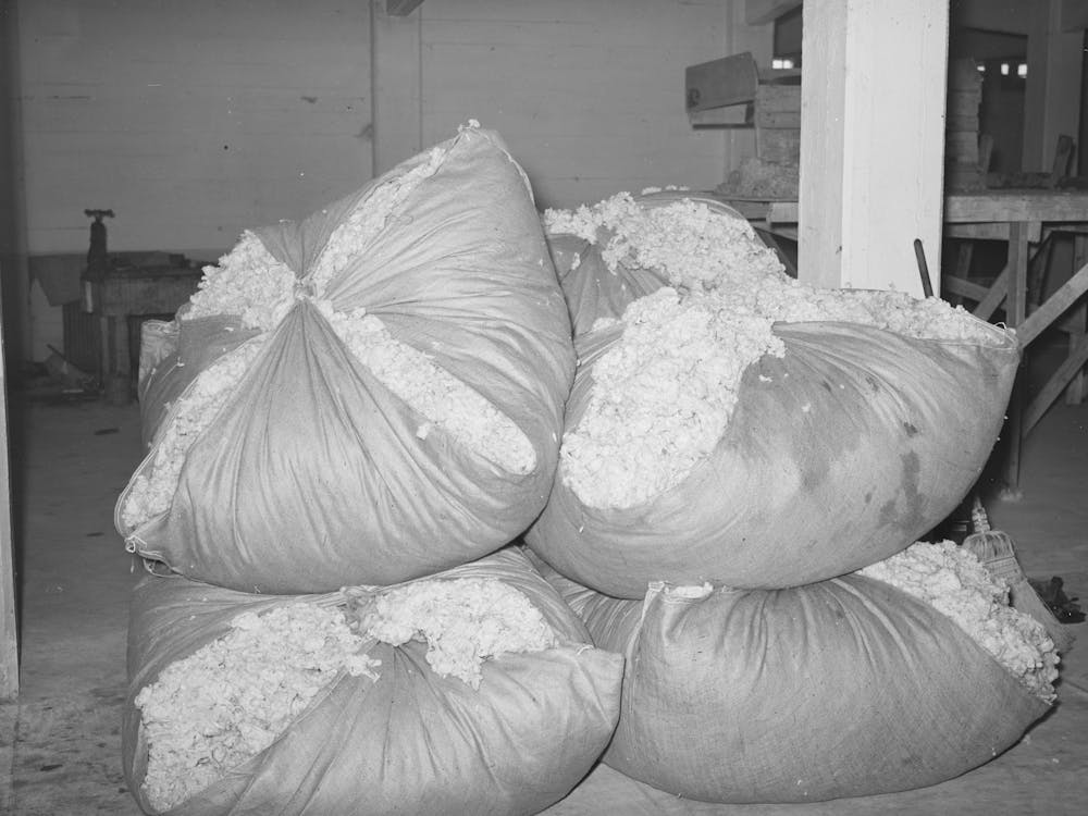 Freshly Scoured And Dried Wool At Wool Scouring Plant, San Marcos, Texas By Russell Lee