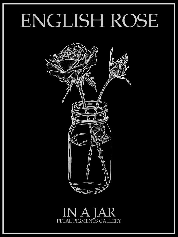 English Rose In A Jar Line Drawing 2 Poster Inverted