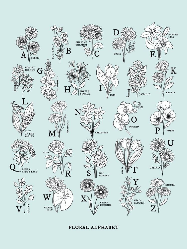 Floral Alphabet | Aquamarine