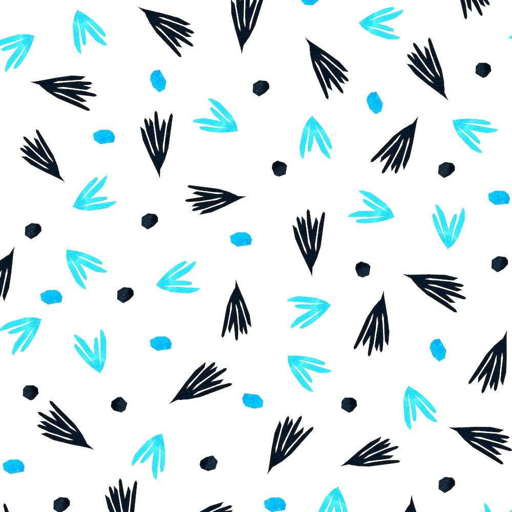 Pointeurs et Points Noir Bleu