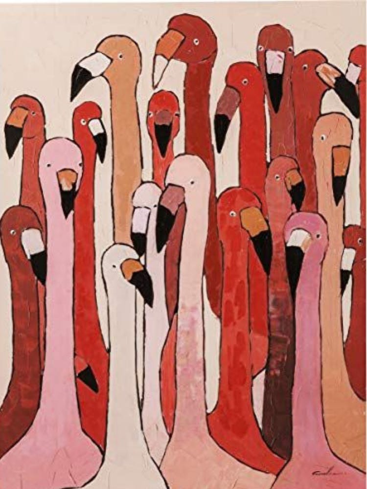 Flamingos