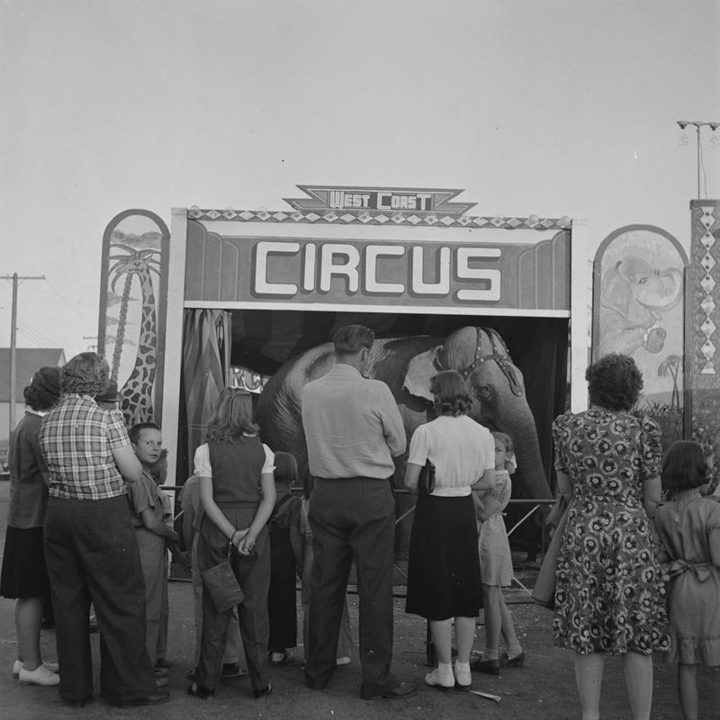 Untitled Photo, Possibly Related To Klamath Falls, Oregon, Circus Day By Russell Lee 1