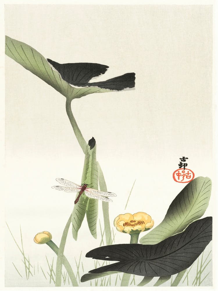 Libelle And Lotus (1900 1930), Ohara Koson