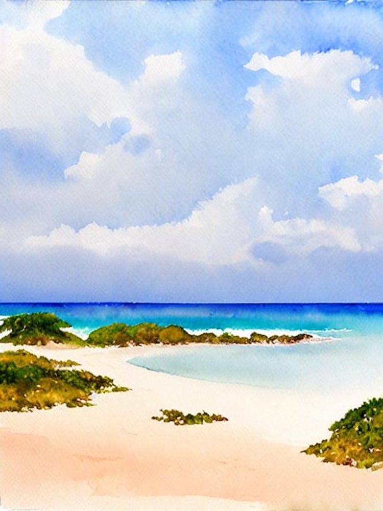 Anse De Grande Saline, St Barts Watercolour