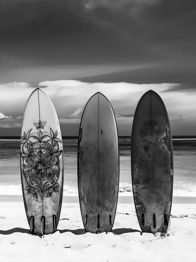 Black And White Surfboards 2