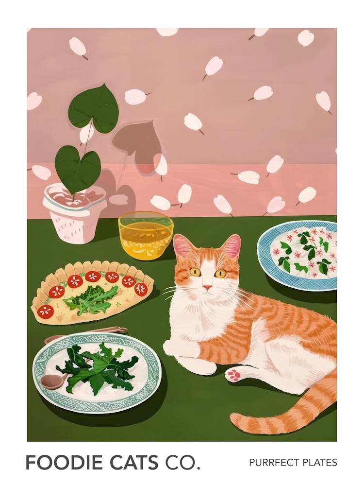 Foodie Cats Co Cat And Salad 2