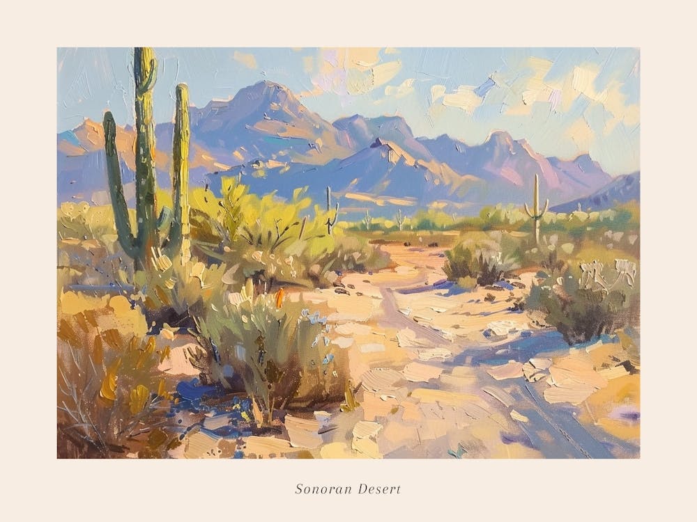 Western Landscapes Sonoran Desert Arizona 3 Poster