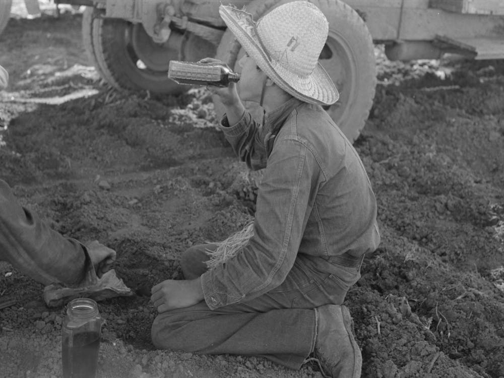 Young Mexican Boy, Carrot Worker, Eating Second Breakfast In Field Near Santa Maria, Texas, The Lunches Of The