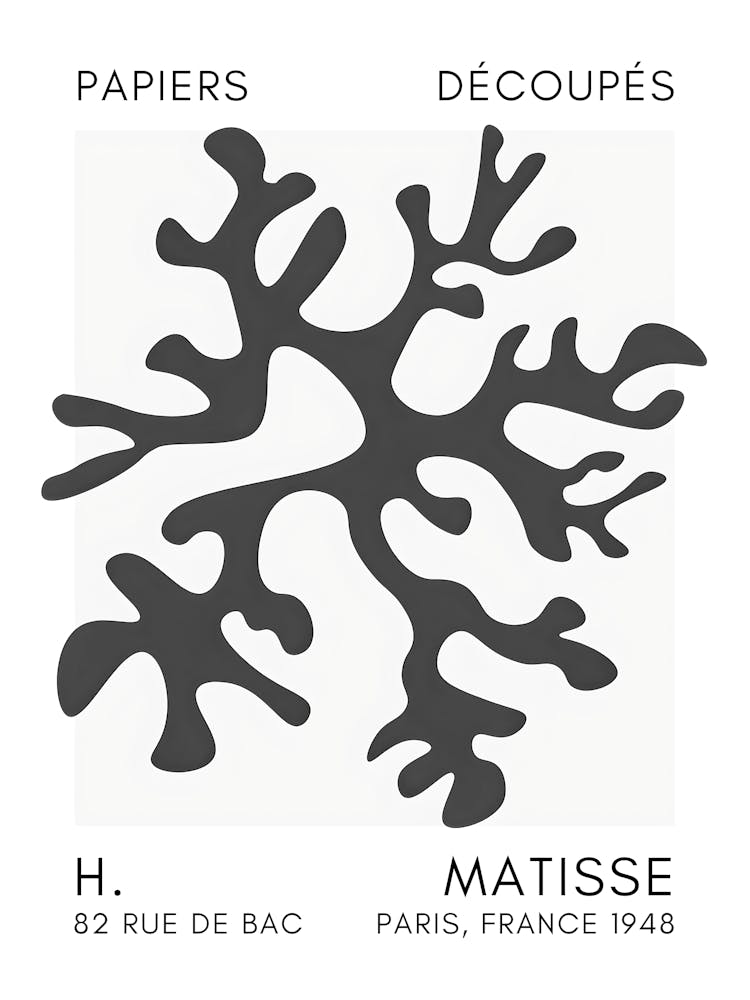 H Matisse 24