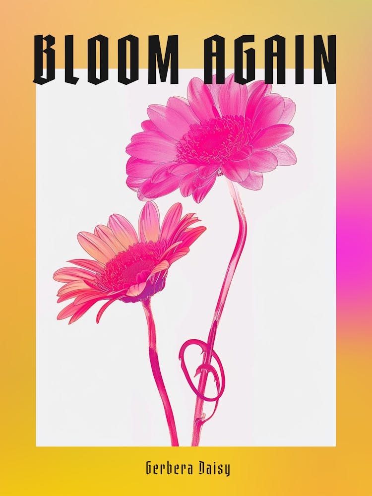 Hot Pink Gerbera Daisy 1 Poster