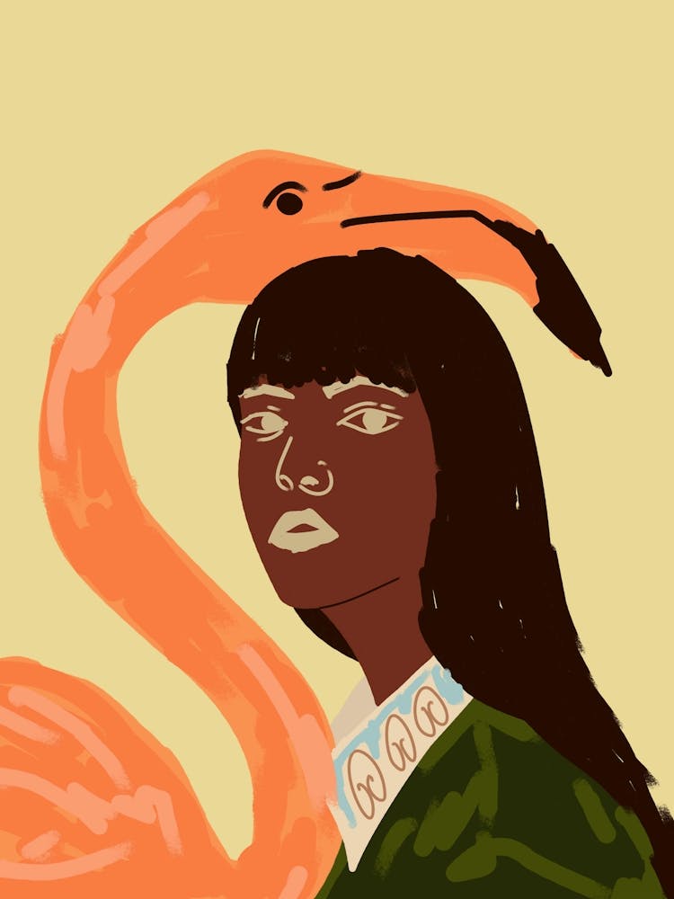 Wrapped in Flamingo Dreams