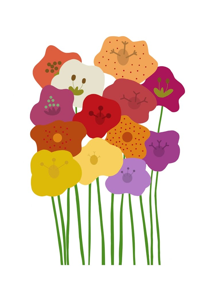 Fleurs Colorées