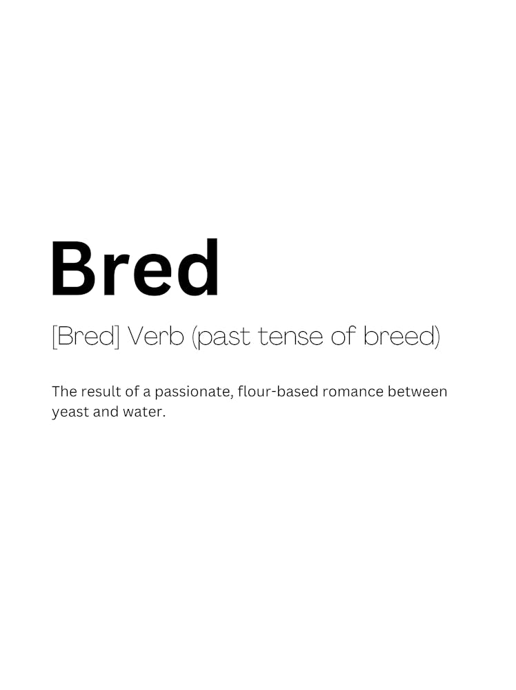 Bred Definition Meaning
