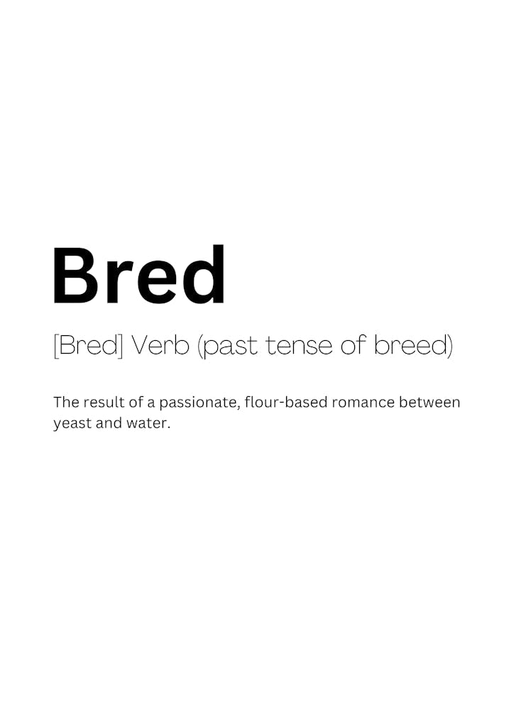 Bred Definition Meaning