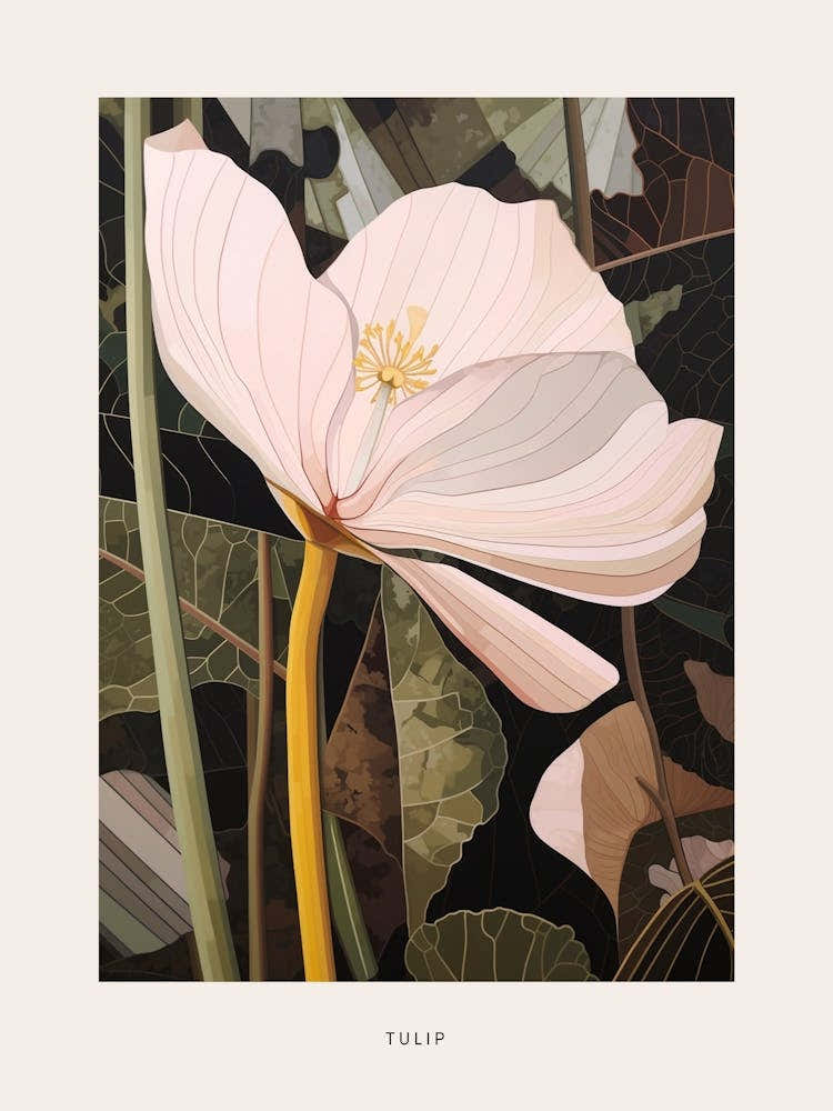 Flower Illustration Tulip 2 Poster