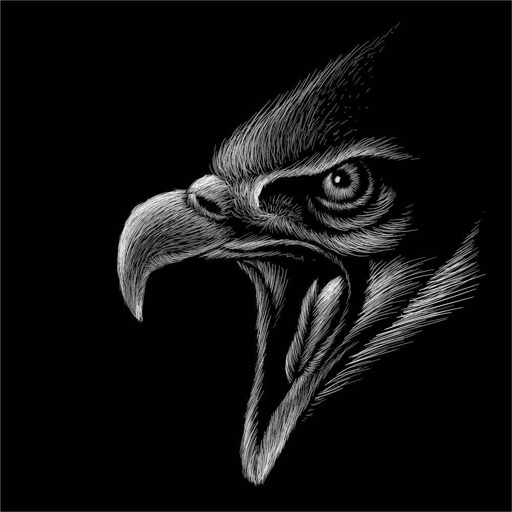 Eagle 1