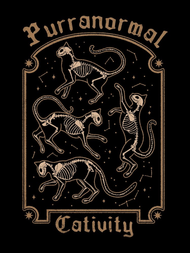 Purranormal Cativity