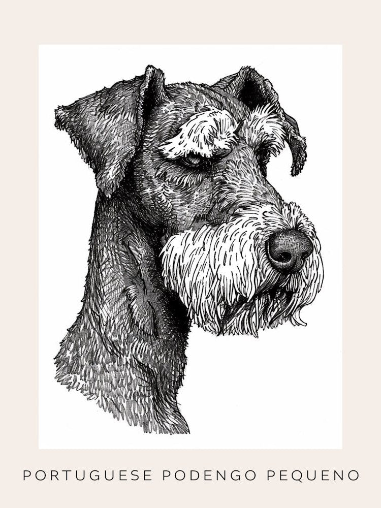 Portuguese Podengo Pequeno Dog Line Sketch 4 Poster