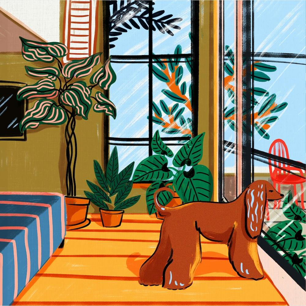 Studio Square